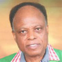 Dr E Sydney Okojie
